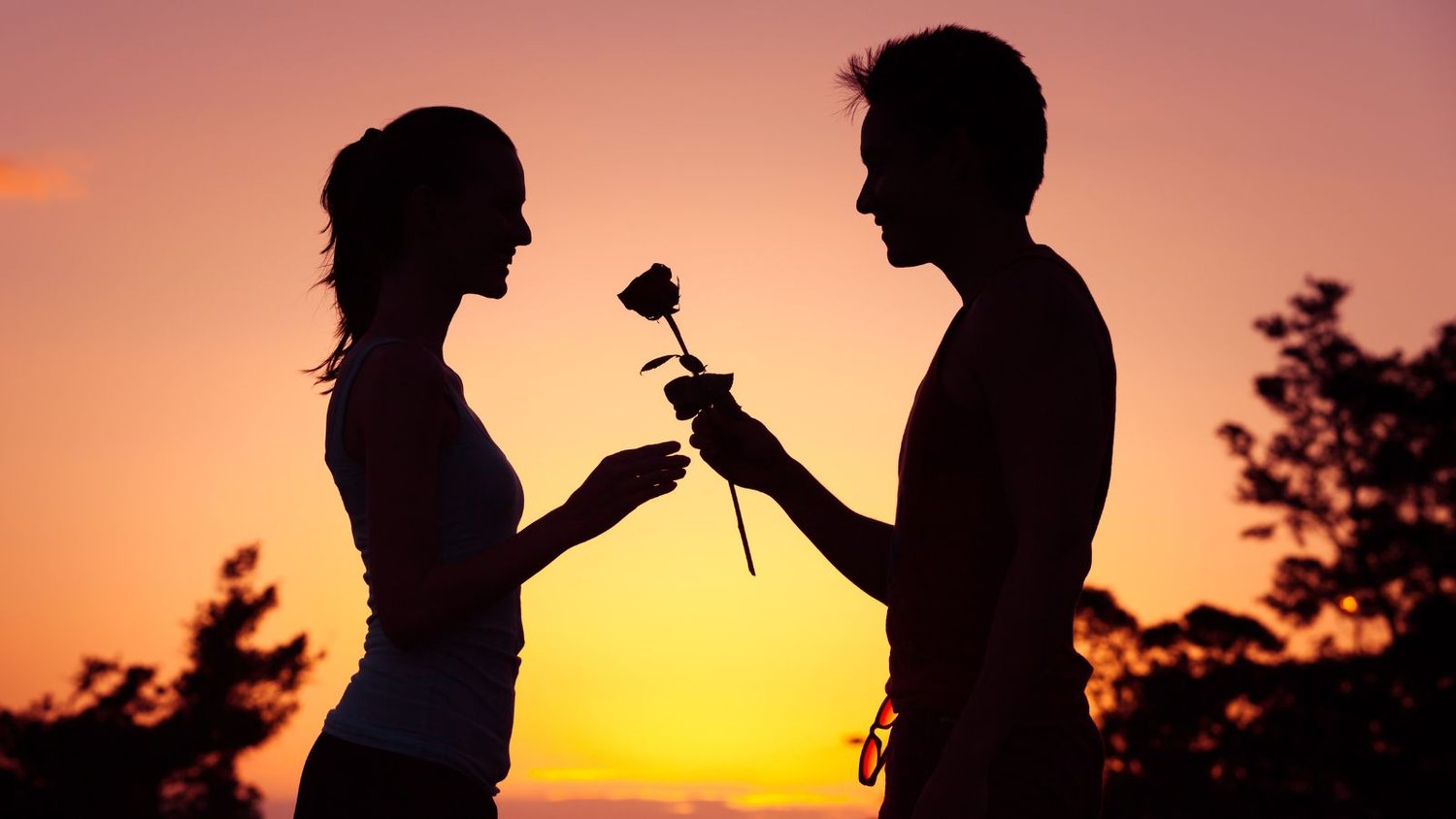 Chicago Matchmaker